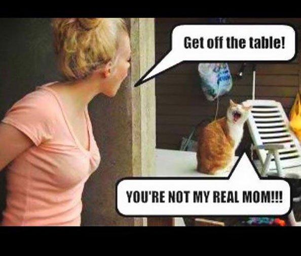 Get off the table!
YOU'RE NOT MY REAL MOM!!!