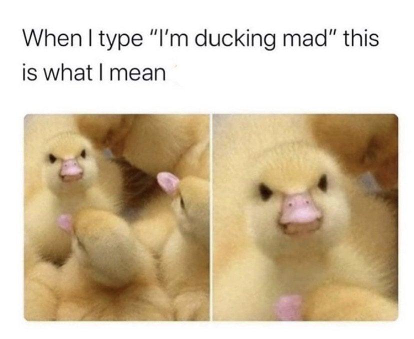 When I type "I'm ducking mad" this
is what I mean