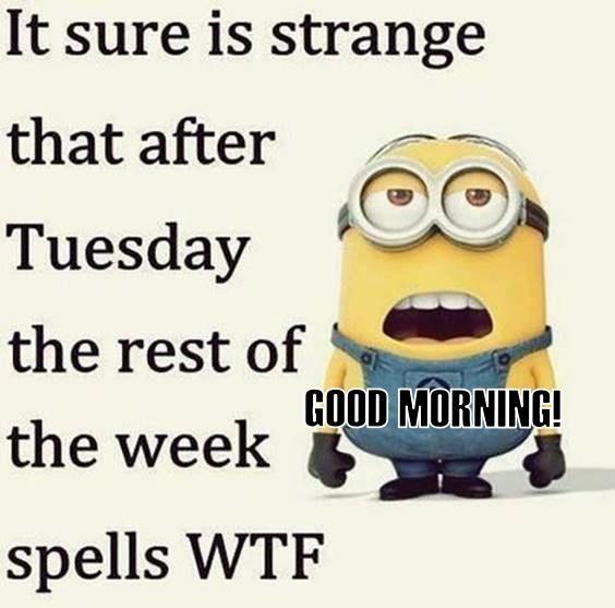 It sure is strange
that after
Tuesday
the rest of
the week
spells WTF
GOOD MORNING!