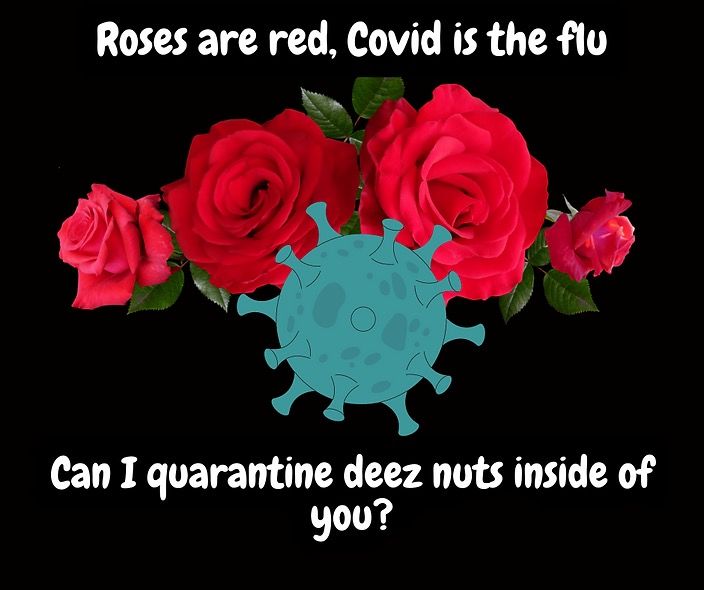 Roses are red, Covid is the flu
Can I quarantine deez nuts inside of
you?