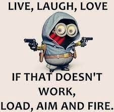 LIVE, LAUGH, LOVE
IF THAT DOESN'T
WORK,
LOAD, AIM AND FIRE.