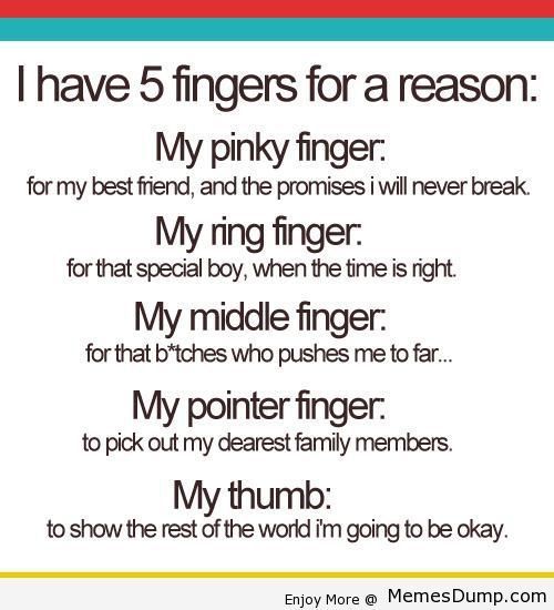 I have 5 fingers for a reason:
My pinky finger.
for my best friend, and the promises i will never break.
My ring finger:
for that special boy, when the time is right.
My middle finger.
for that b*tches who pushes me to far...
My pointer finger:
to pick out my dearest family members.
My thumb:
to show the rest of the world i'm going to be okay.
Enjoy More @ Memes Dump.com