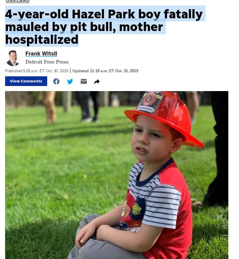4-year-old Hazel Park boy fatally
mauled by pit bull, mother
hospitalized
Frank Witsil
Detroit Free Press
Published 9:28 am. ET Oct. 30, 2019 | Updated 11:18 am. ET Oct. 31, 2019
View Comments
106