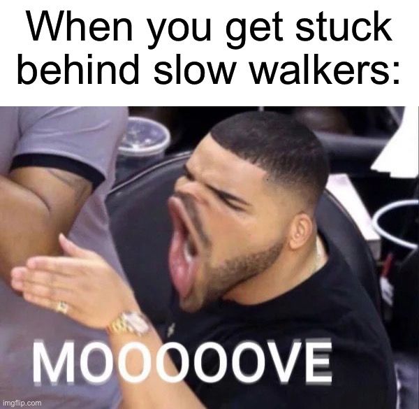 When you get stuck
behind slow walkers:
MOOOOOVE
imgflip.com