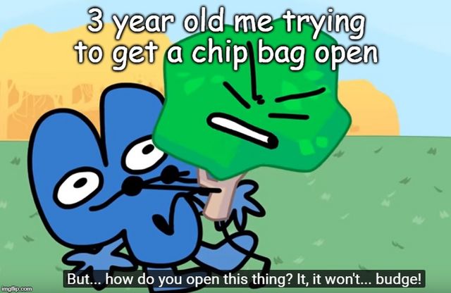by
imgflip.com
3 year old me trying
to get a chip bag open
5
But... how do you open this thing? It, it won't... budge!