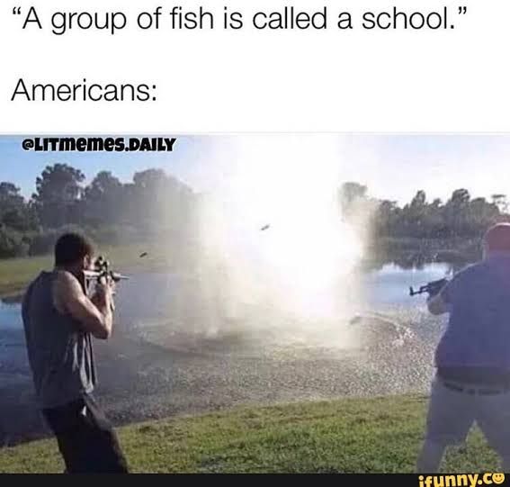 "A group of fish is called a school."
Americans:
@LITMEMES.DAILY
ifunny.co