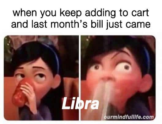 when you keep adding to cart
and last month's bill just came
Libra
ourmindfullife.com