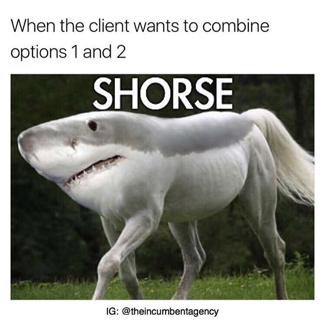 When the client wants to combine
options 1 and 2
SHORSE
IG: @theincumbentagency