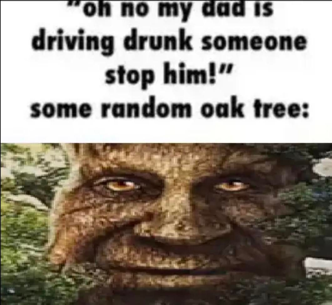 oh no my dad is
driving drunk someone
stop him!"
some random oak tree: