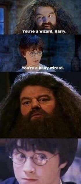 You're a wizard, Harry.
You're a hairy wizard.