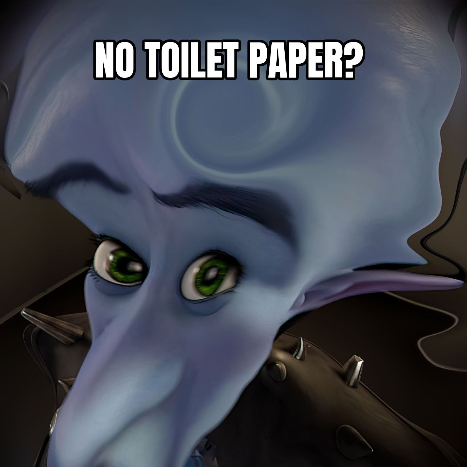 NO TOILET PAPER?