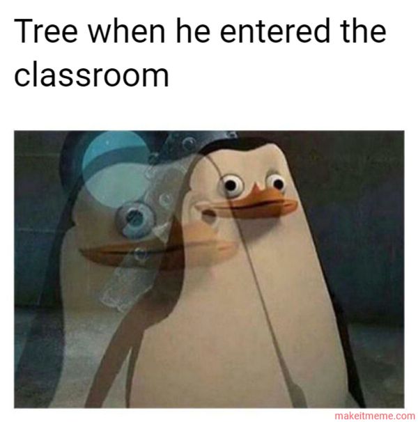Tree when he entered the
classroom
makeitmeme.com