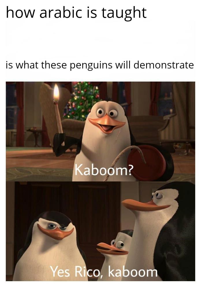 how arabic is taught
is what these penguins will demonstrate
Kaboom?
Yes Rico, kaboom
