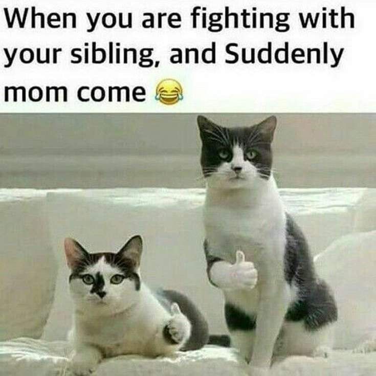 When you are fighting with
your sibling, and Suddenly
mom come
