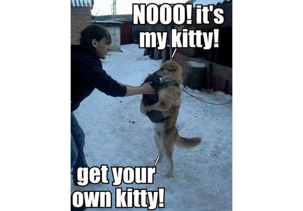NOOO! it's
my kitty!
get your
own kitty!