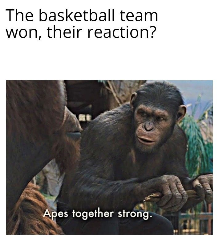 The basketball team
won, their reaction?
Apes together strong.