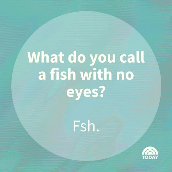 What do you call
a fish with no
eyes?
Fsh.
TODAY