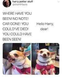 harry potter stuff
@theHPfacts
WHERE HAVE YOU
BEEN! NO NOTE!
CAR GONE! YOU
COULD'VE DIED!
YOU COULD HAVE
BEEN SEEN!
Hello Harry,
dear!