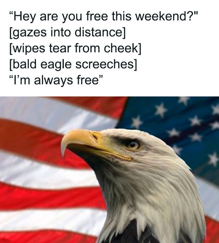 "Hey are you free this weekend?"
[gazes into distance]
[wipes tear from cheek]
[bald eagle screeches]
"I'm always free"
