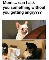 Mom.... can I ask
you something without
you getting angry???