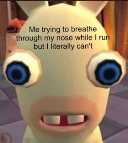 Me trying to breathe
through my nose while I run
but I literally can't