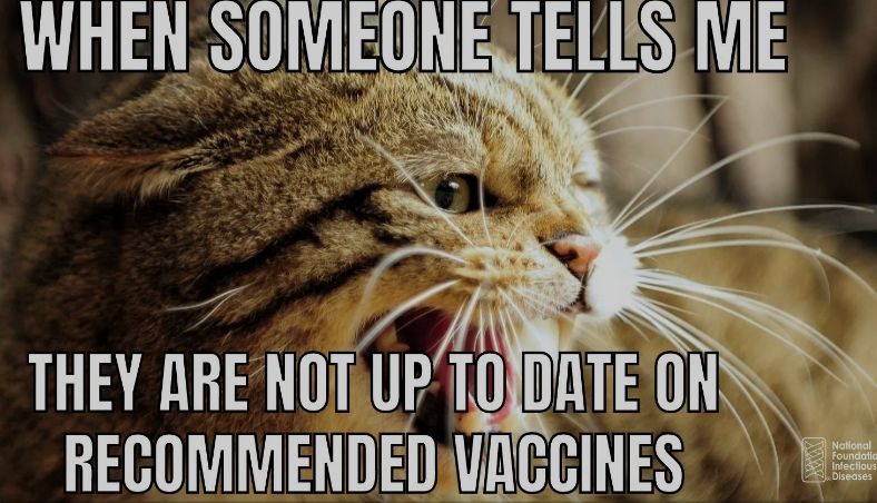 WHEN SOMEONE TELLS ME
THEY ARE NOT UP TO DATE ON
RECOMMENDED VACCINES
National
Foundatia
Infectious
Diseases
