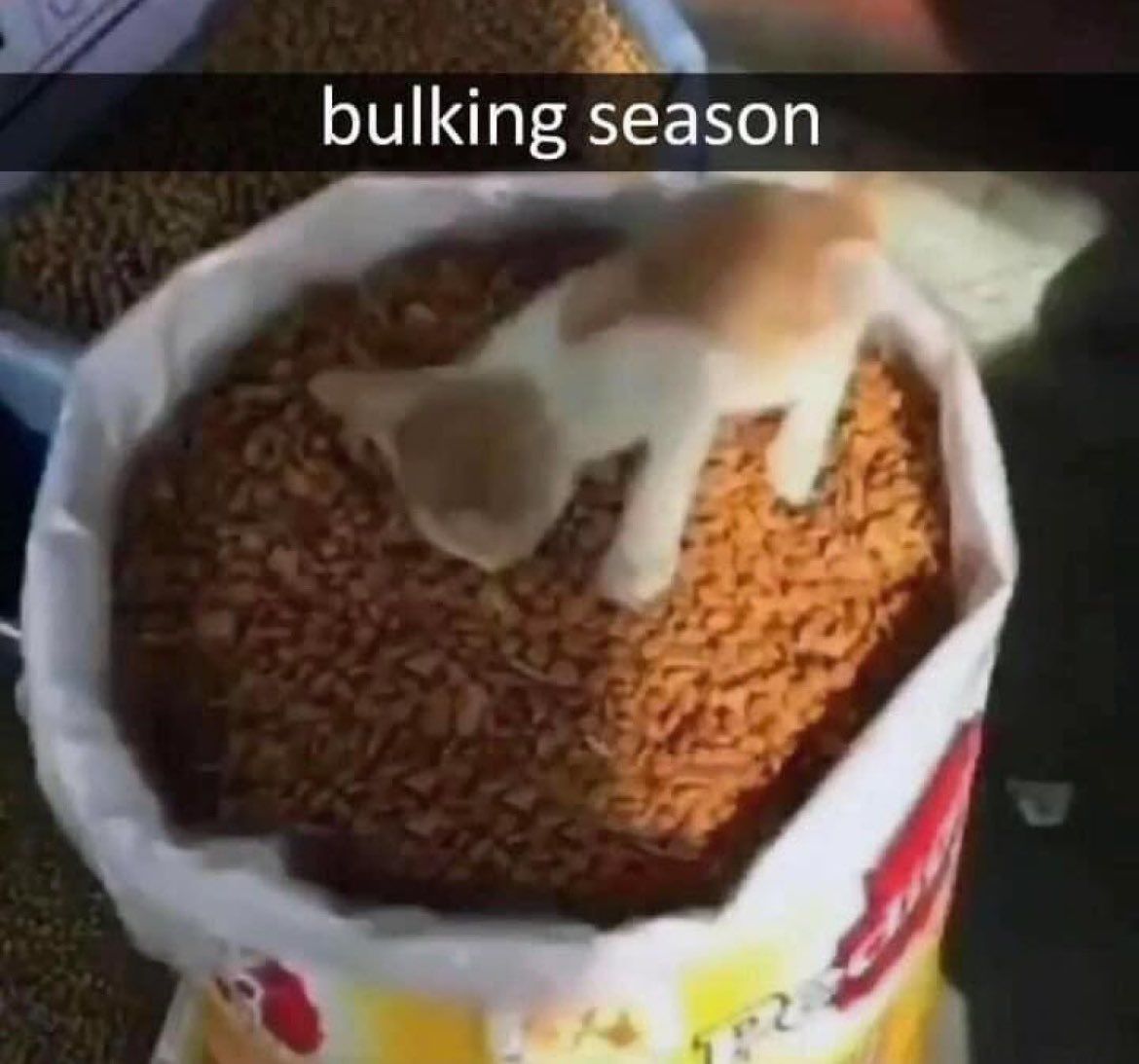 bulking season
***