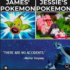 JAMES' JESSIE'S
POKEMON POKEMON
"THERE ARE NO ACCIDENTS."
- Master Oogway
e
P
STE
|$