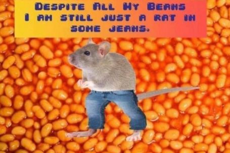 DESPITE ALL MY BEANS
I AM STILL JUST A RAT IN
SOME JEANS.