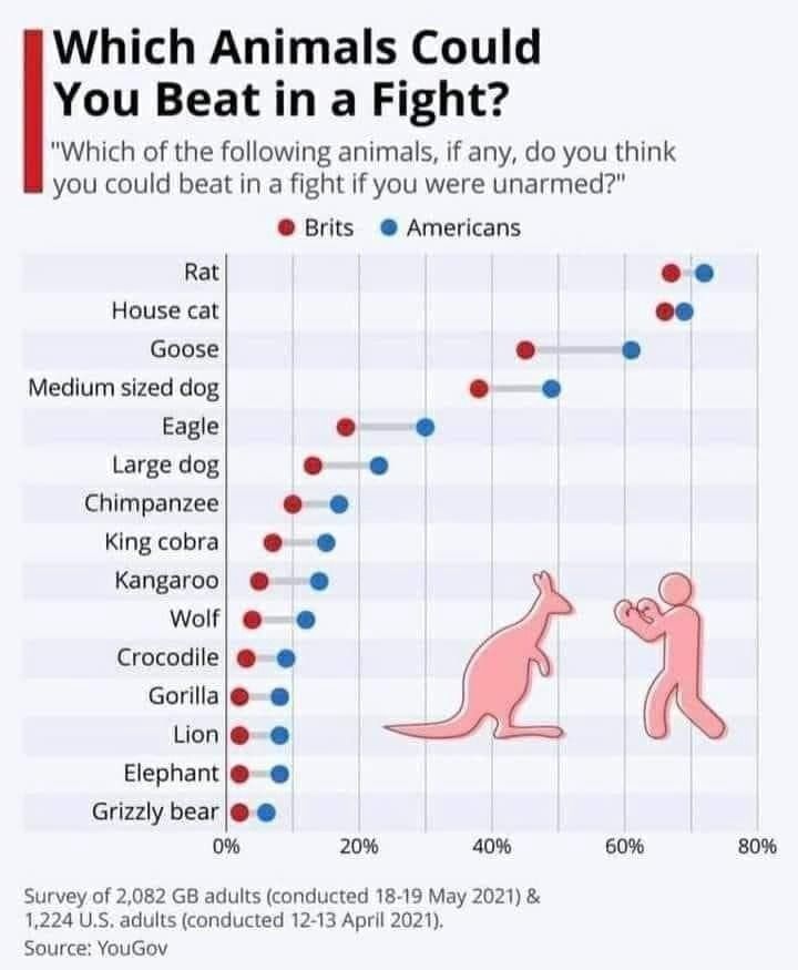 Which Animals Could
You Beat in a Fight?
"Which of the following animals, if any, do you think
you could beat in a fight if you were unarmed?"
Brits
Americans
Rat
House cat
Goose
Medium sized dog
Eagle
Large dog
Chimpanzee
King cobra
Kangaroo
Wolf
Crocodile
Gorilla
Lion
Elephant
Grizzly bear
0%
20%
40%
Survey of 2,082 GB adults (conducted 18-19 May 2021) &
1,224 U.S. adults (conducted 12-13 April 2021).
Source: YouGov
60%
80%
