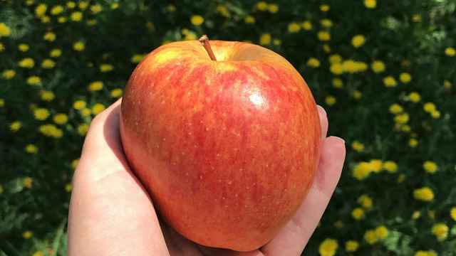 Apple Juice