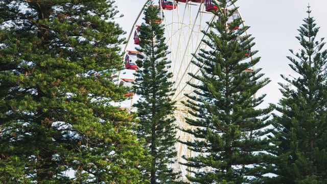 Big Wheel