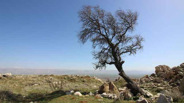 Burial Ground