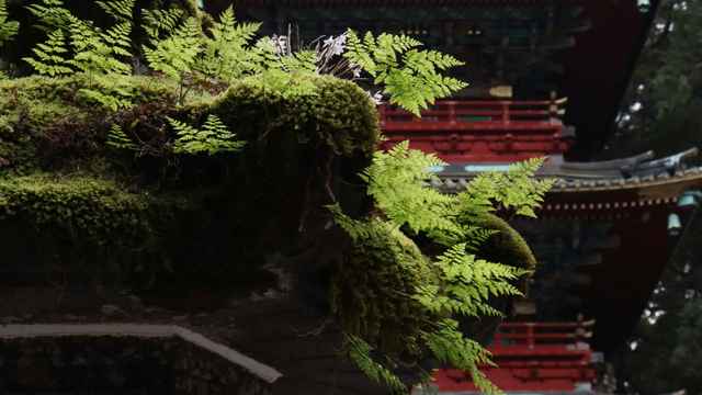 Cultural stereotypes