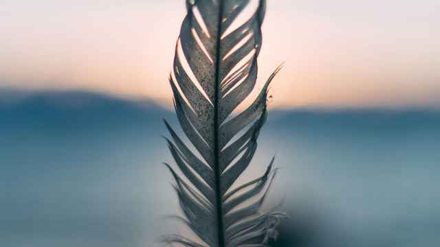 Feather