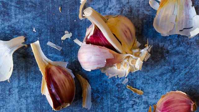 Garlic