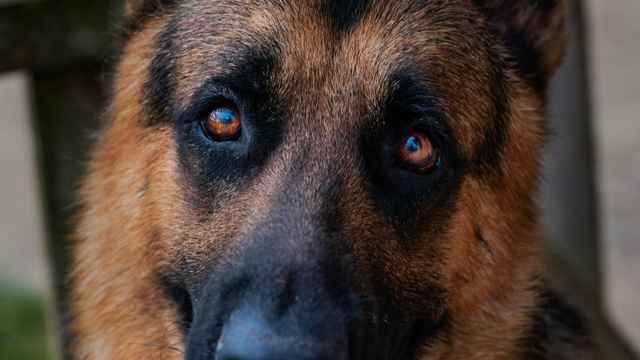 Kilometers per Second