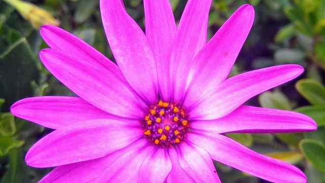 Mommy Mommy jokes clean