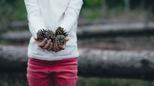 Never Gonna Give You Up