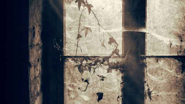 Spider's Web