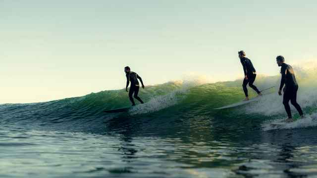 Surf