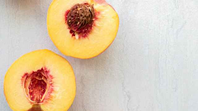 Underground Fruit Association of N.C. UGFA