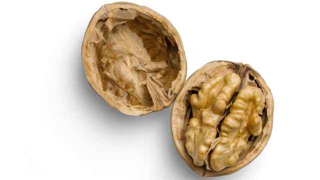 Walnut